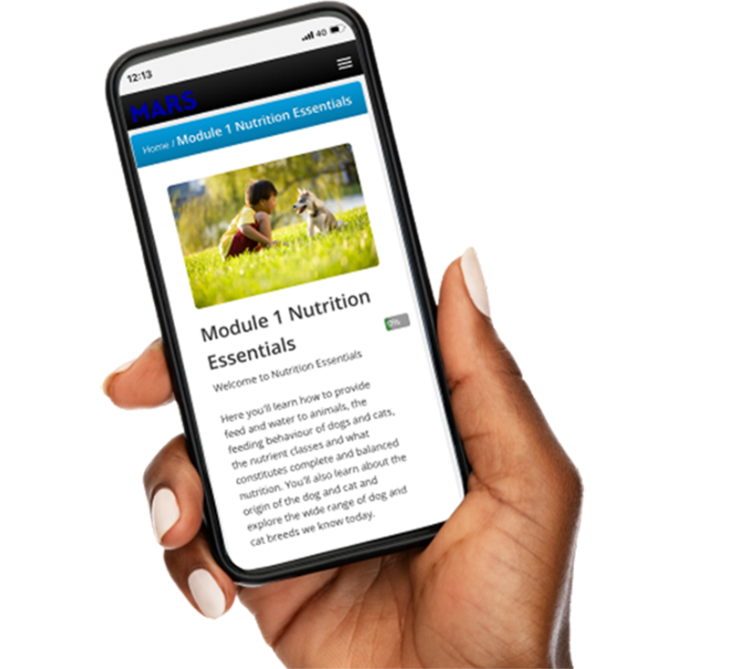 Mobile Image